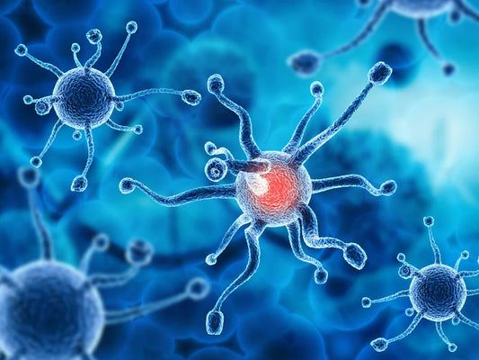 Φυσική θεραπεία για τη ΣΚΠ με έλαιο CBD